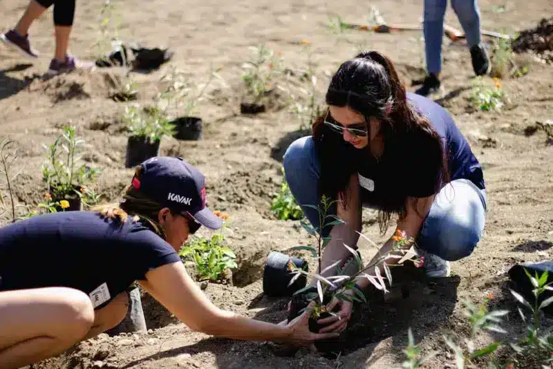 plantar árboles labor social